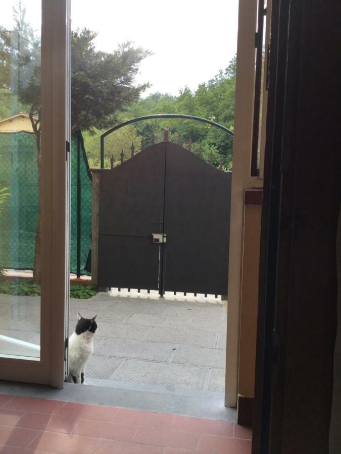 Casa Taiuti Apartment San Piero a Sieve Bagian luar foto